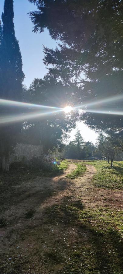 Tenuta Valle Incanto Локоротондо Екстериор снимка