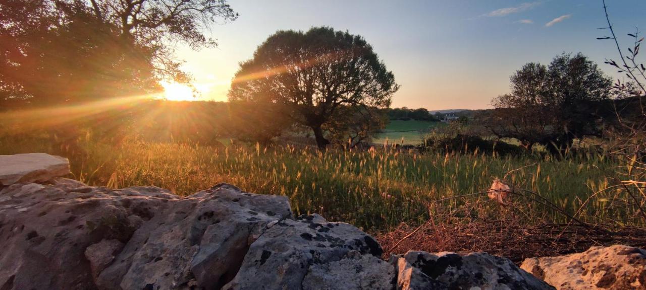 Tenuta Valle Incanto Локоротондо Екстериор снимка